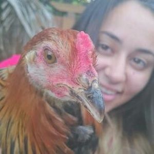 Meet your Posher, Dianita018